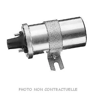 bouvier-auto3390282