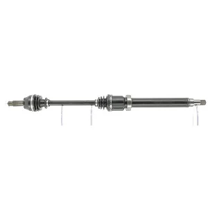 bouvier-auto3924524