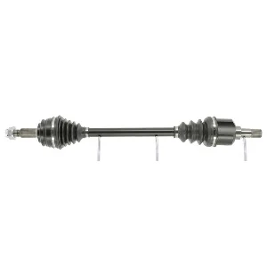 bouvier-auto3928693