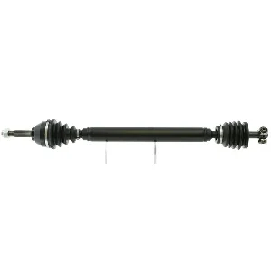 bouvier-auto3930043