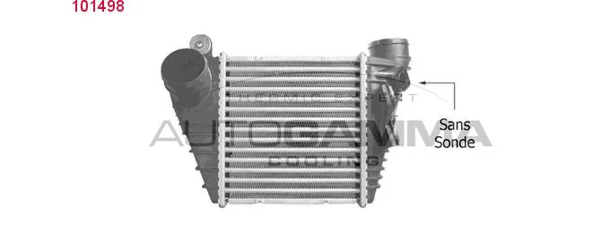 bouvier-auto3932452