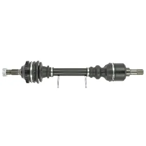 bouvier-auto3934016