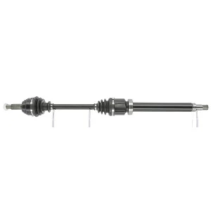 bouvier-auto3938995