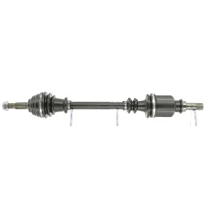 bouvier-auto3939128