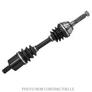 bouvier-auto3939237