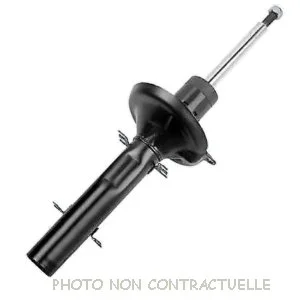 bouvier-auto3943131