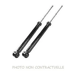 bouvier-auto3947963