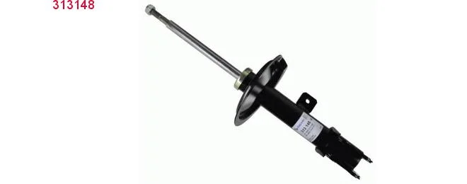 bouvier-auto3953316
