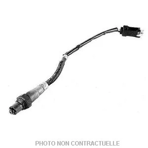 bouvier-auto3957322