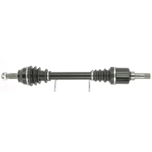 bouvier-auto3964990