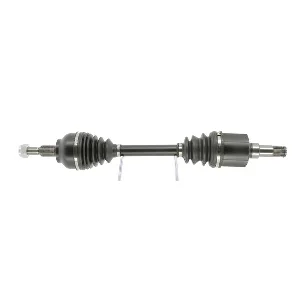 bouvier-auto3970495