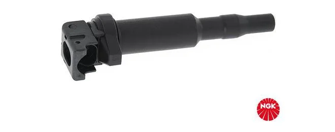 bouvier-auto3978960
