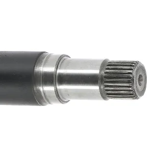 bouvier-auto3999493