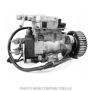 bouvier-auto3999705