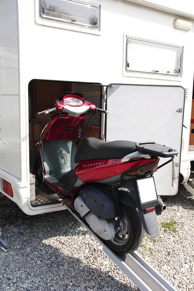 reimo3600694