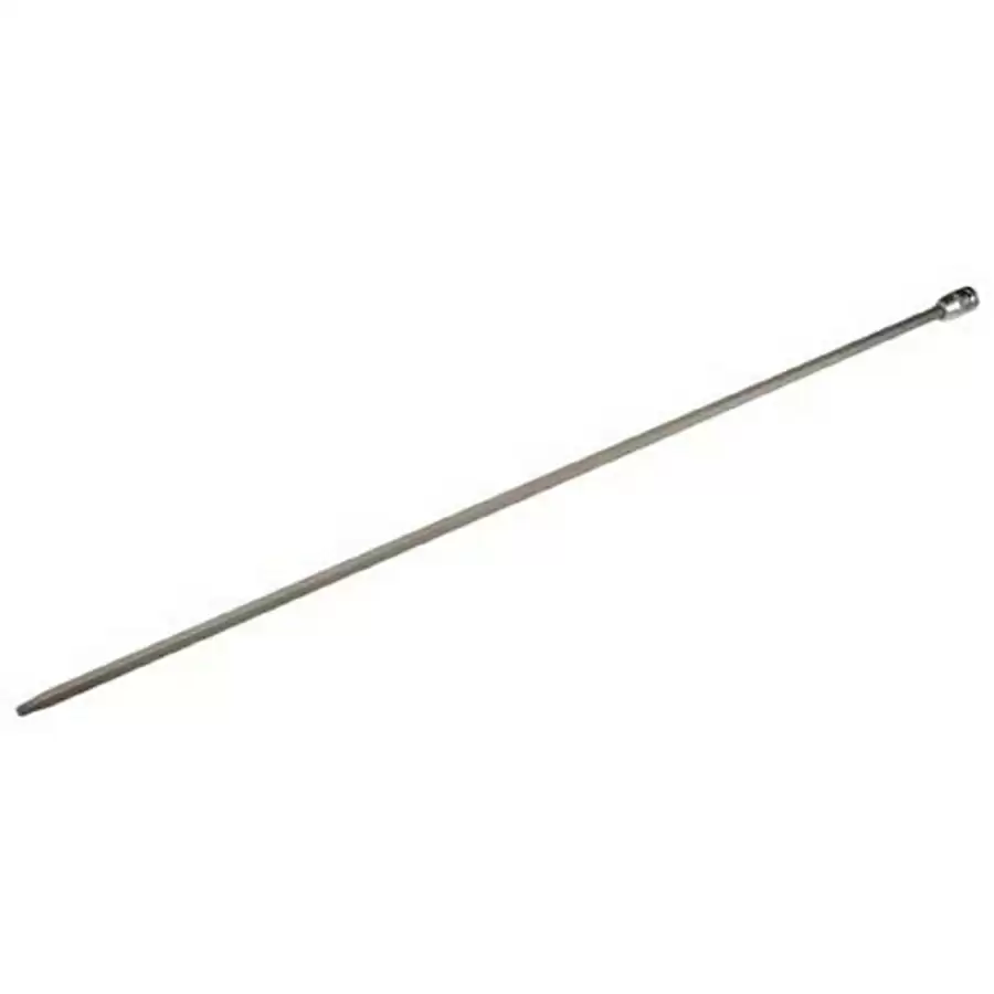 ridewill3398265