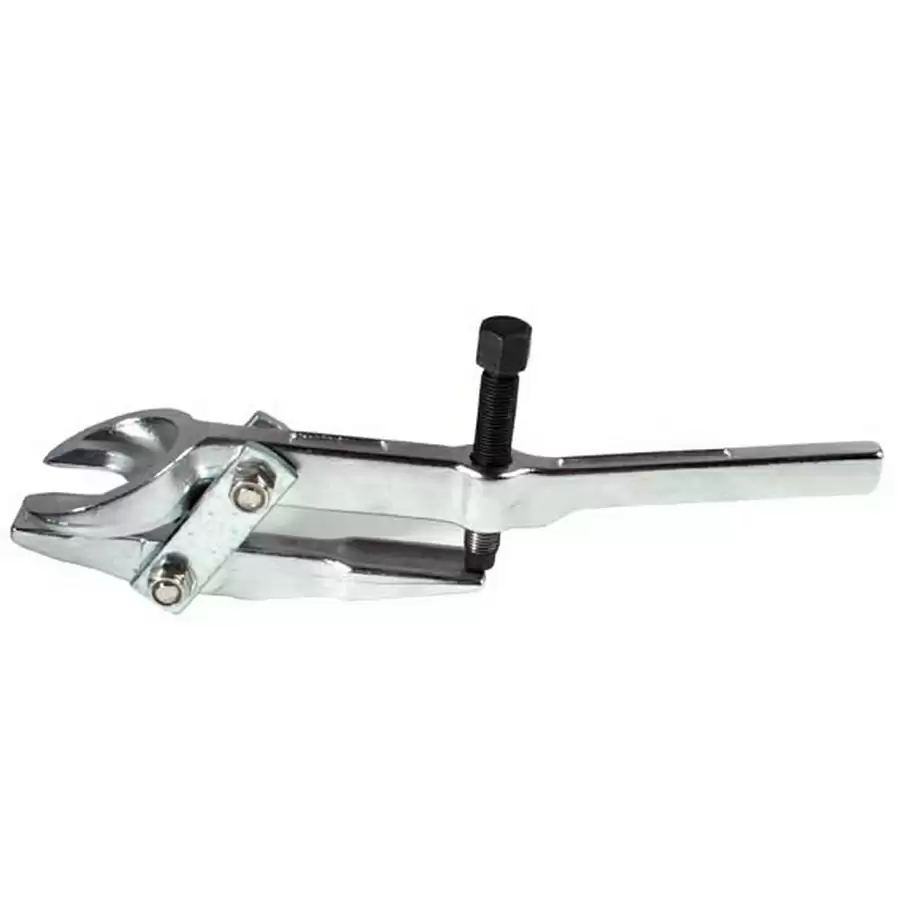 ridewill3415052