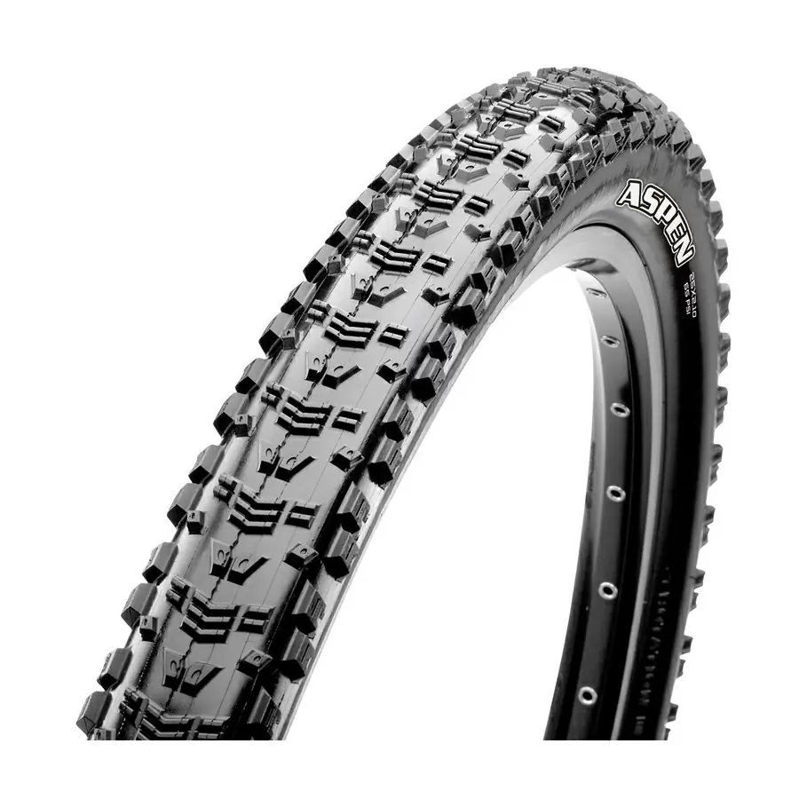 ridewill3473589