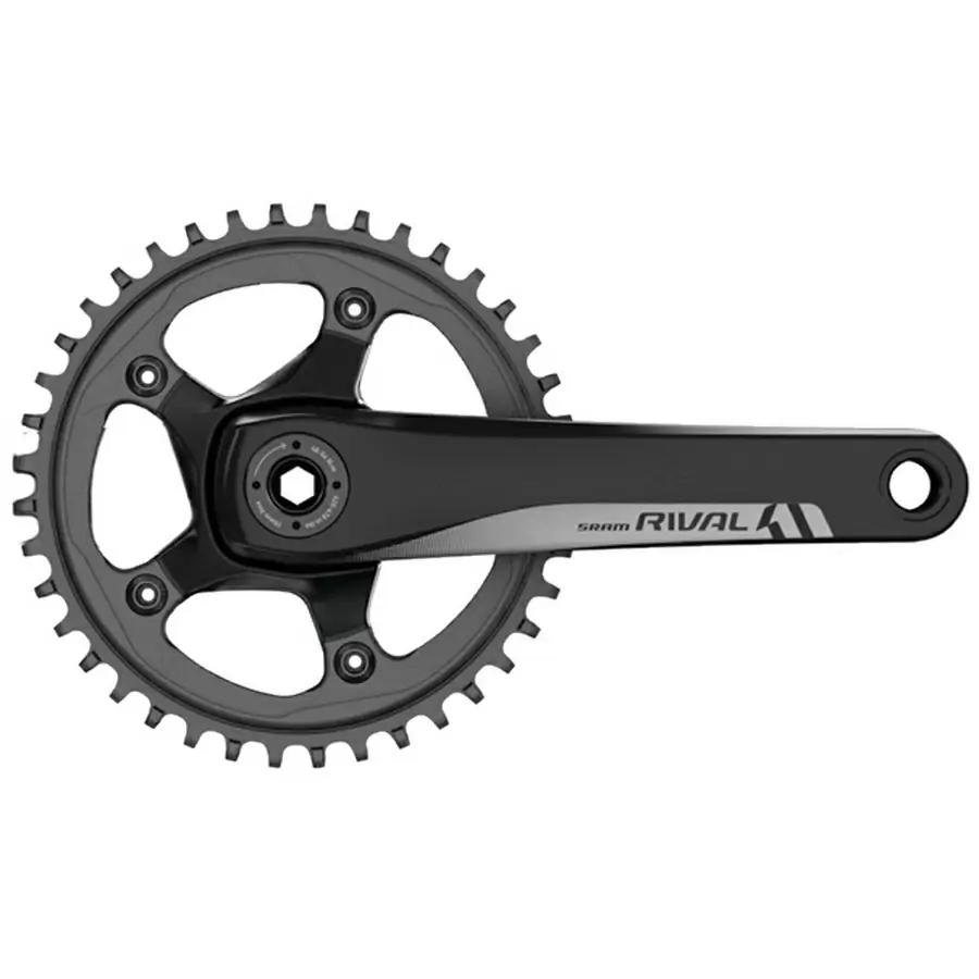 ridewill3481387