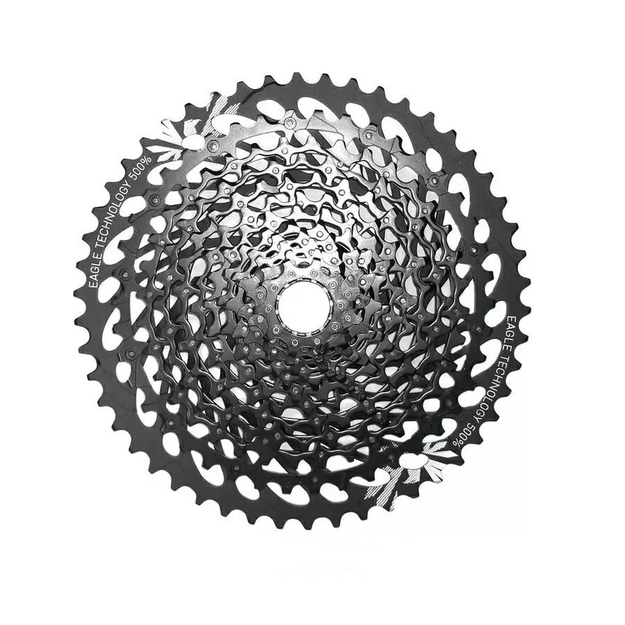 ridewill3481814