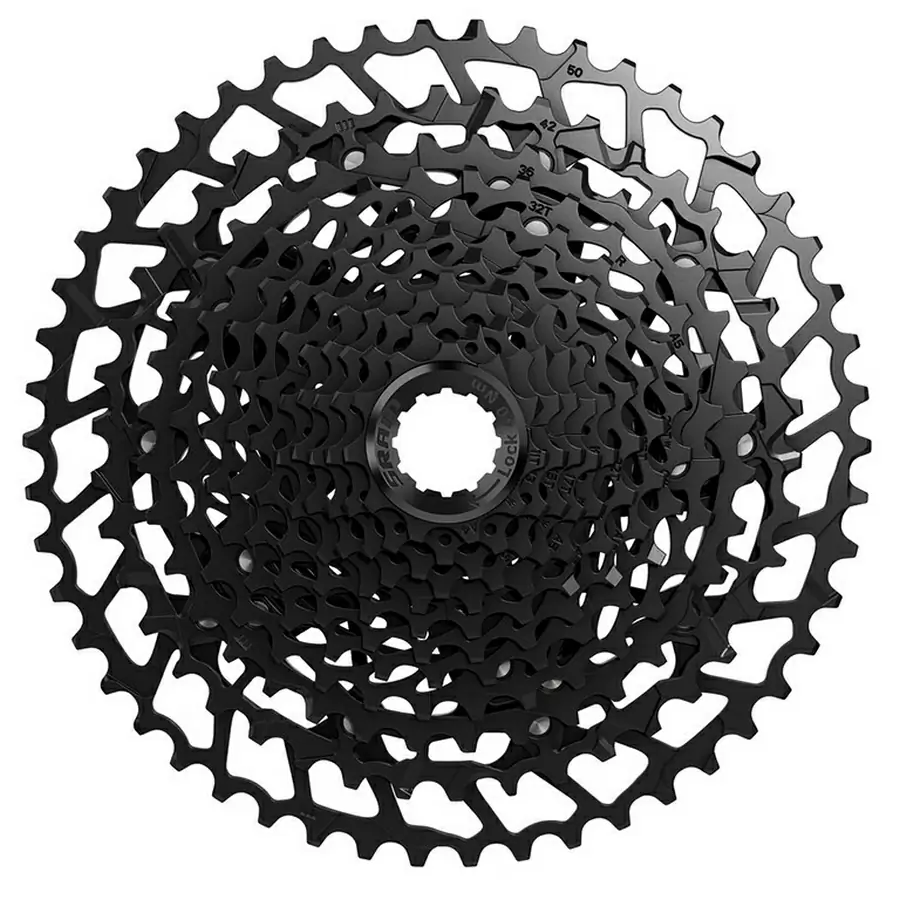 ridewill3485948