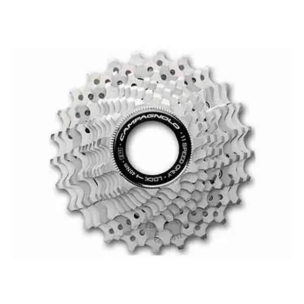 ridewill3499061