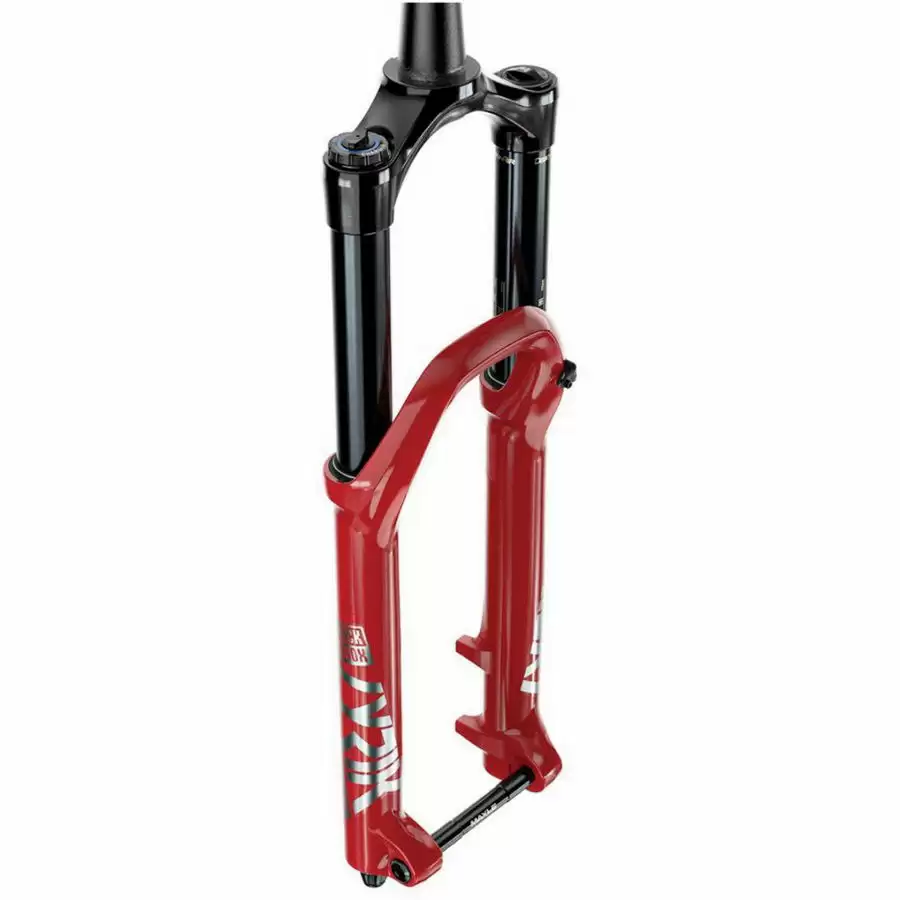 ridewill3548069