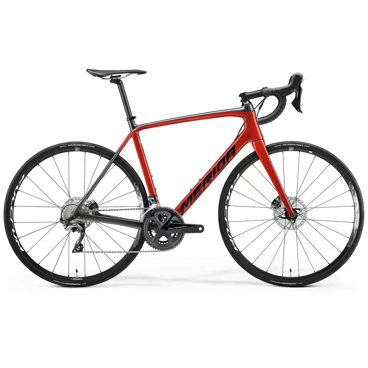 ridewill3573336