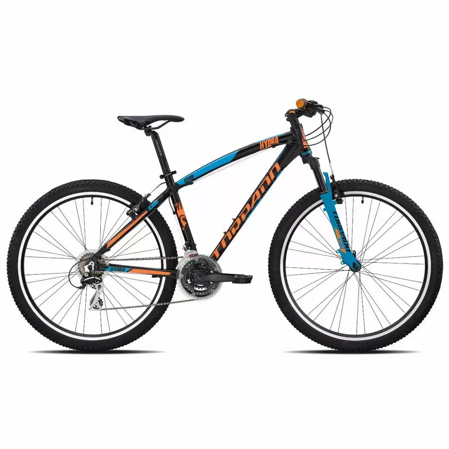 ridewill3649065