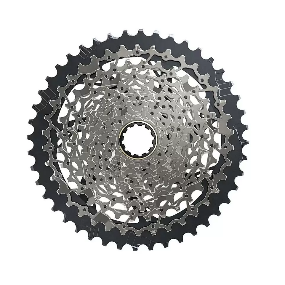 ridewill3655502