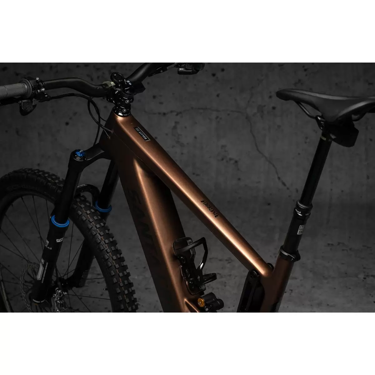 ridewill3664663