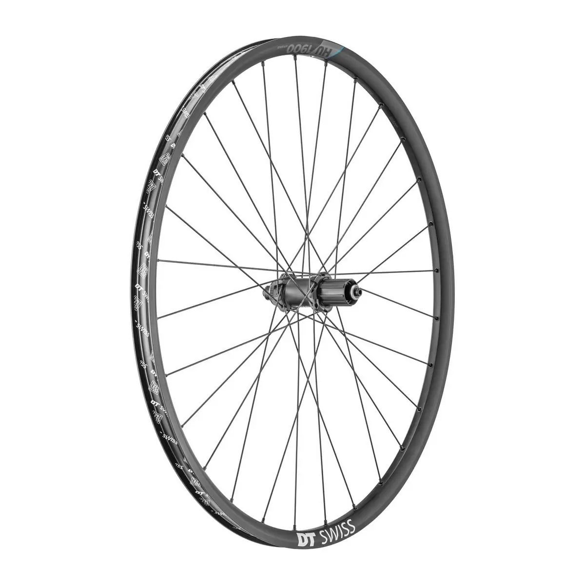 ridewill3668318