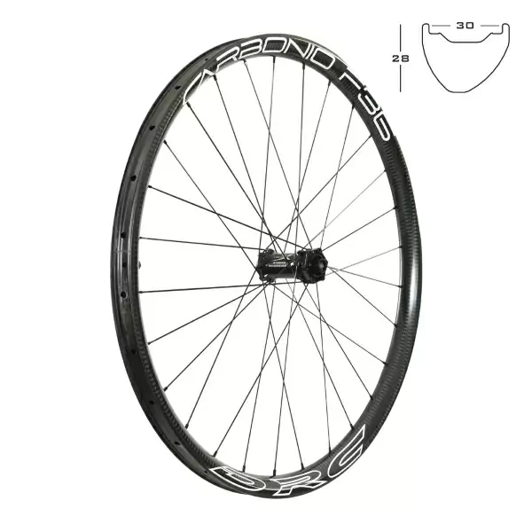 ridewill3674356