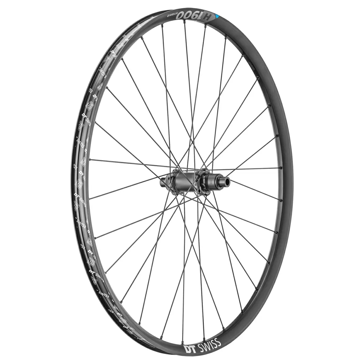 ridewill3678828