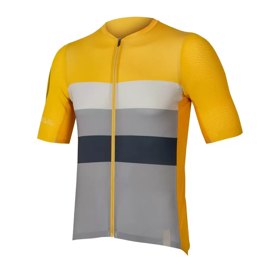 ridewill3693536