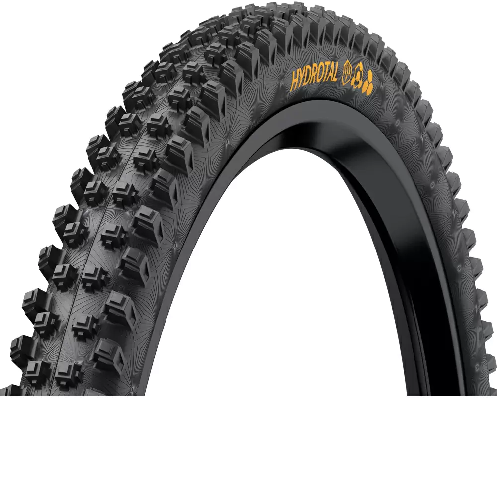 ridewill3695103