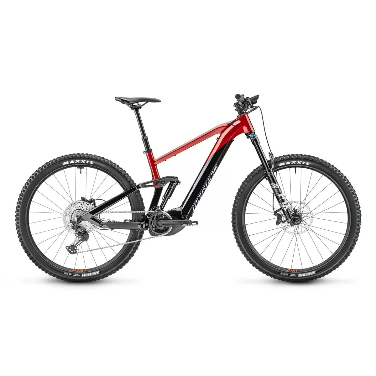 ridewill3696337