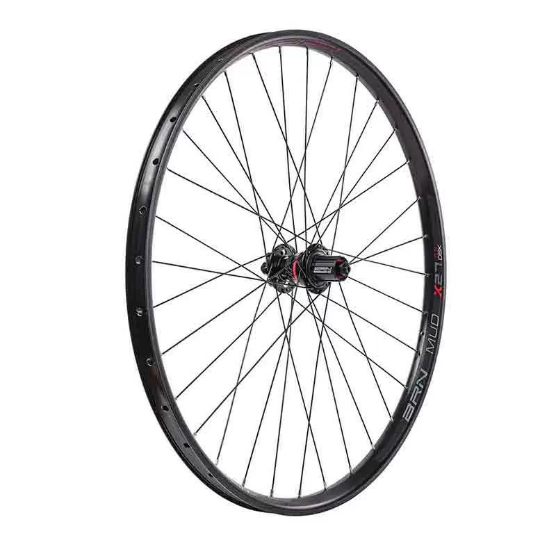ridewill3718388