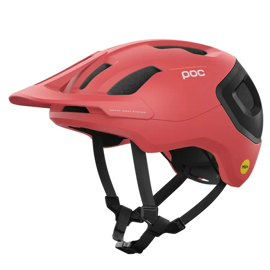 ridewill3772202