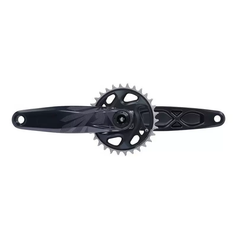 ridewill3779041