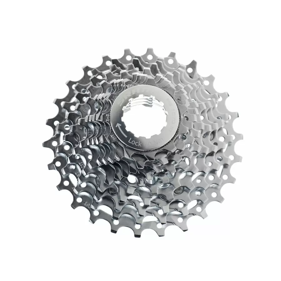 ridewill3779791