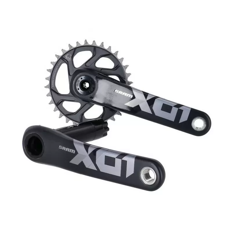 ridewill3780033