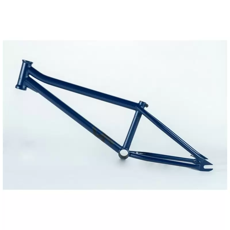 ridewill3839827