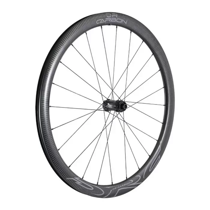 ridewill3842263