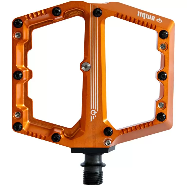 ridewill3908389