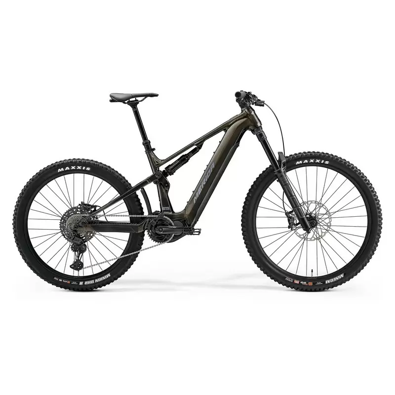 ridewill3924544