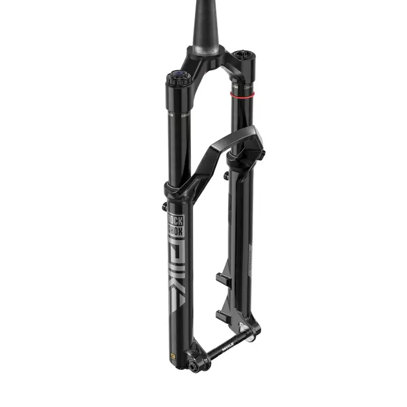 ridewill3931037