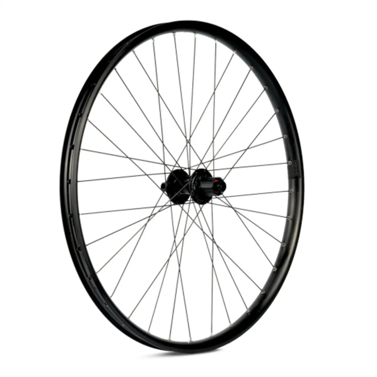 ridewill3953951