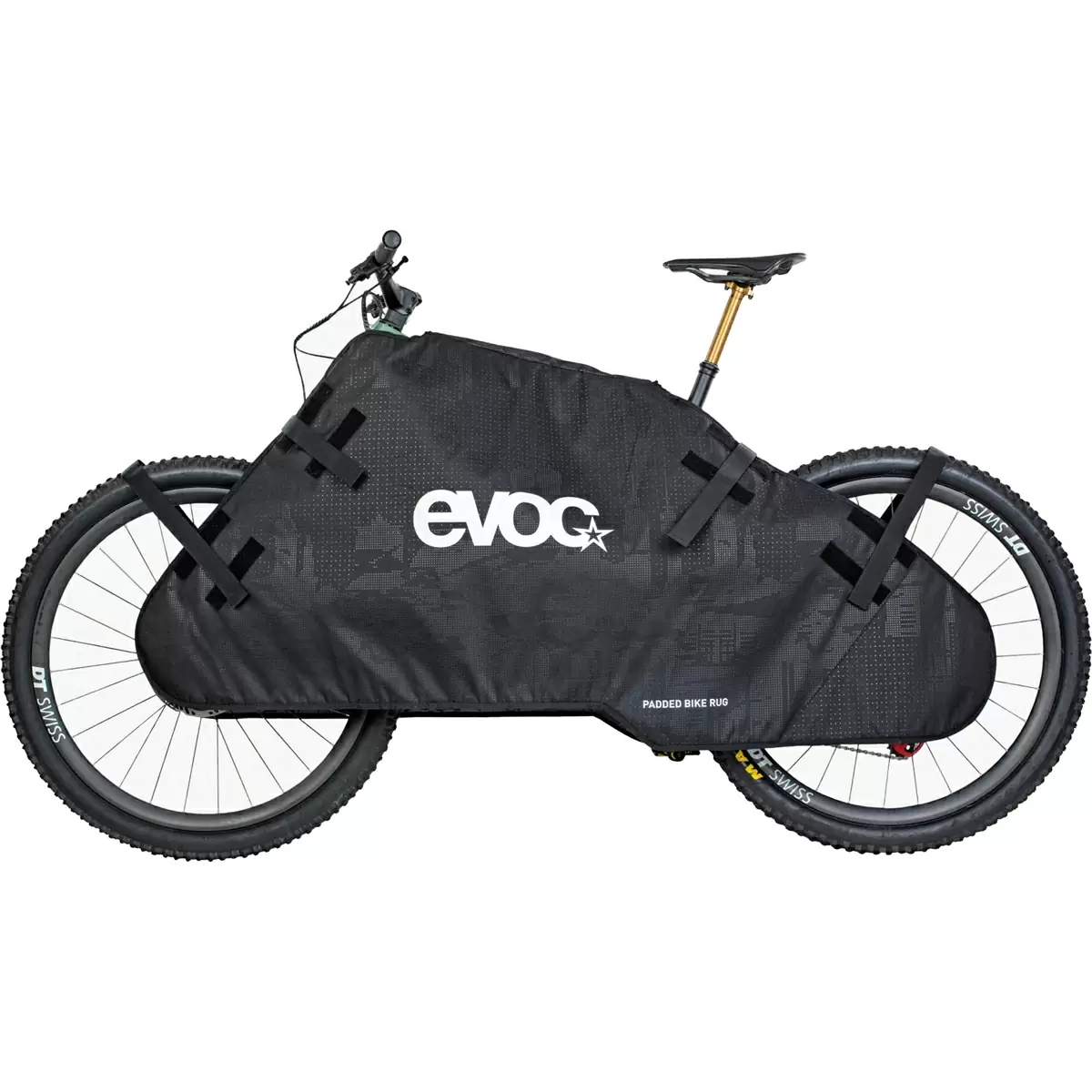 ridewill3963732