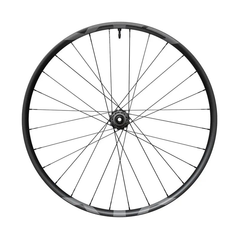 ridewill3991845